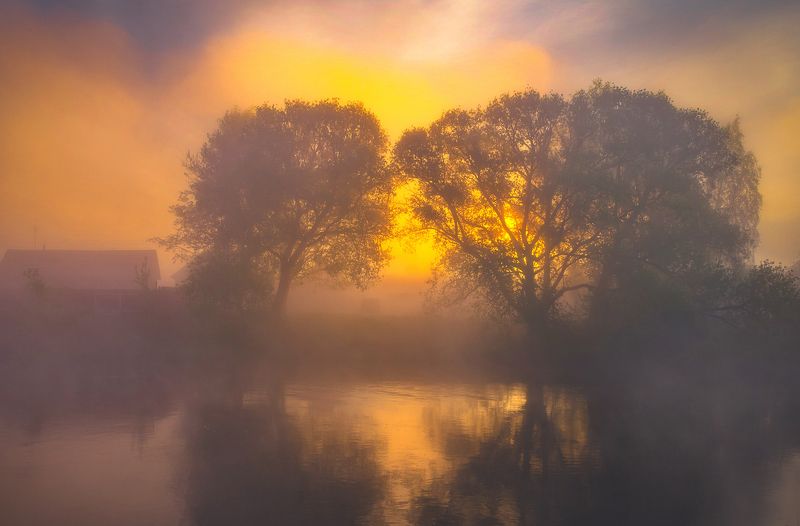 рассвет, туман, свислочь Пылающий рассветphoto preview