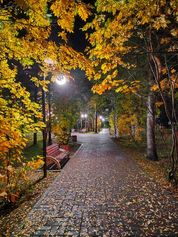 печора, коми, осень В вечернем паркеphoto preview
