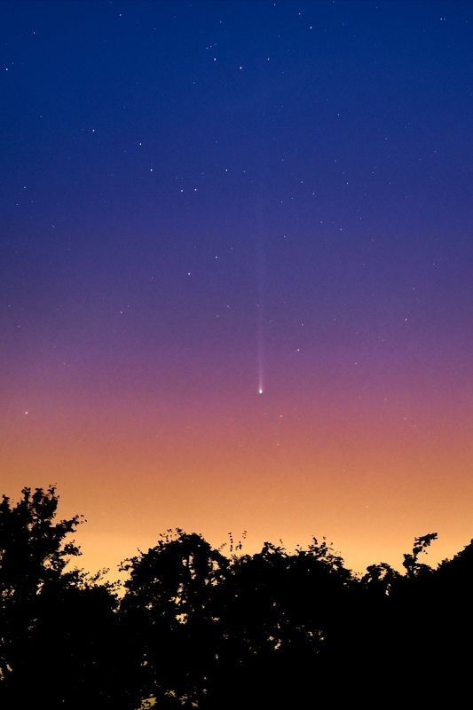 C2023P1 Nishimuraphoto preview