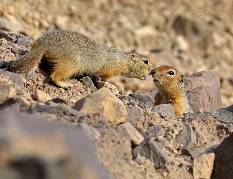 По секрету…photo preview