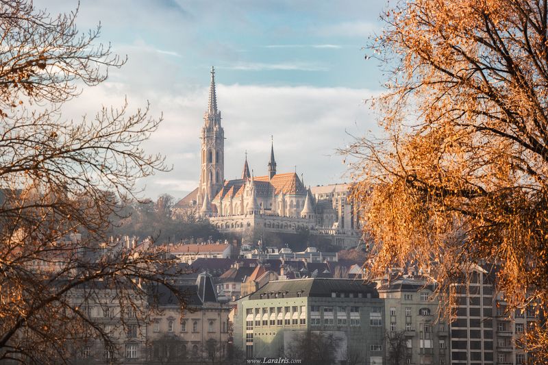 Золотая осень на порогеphoto preview