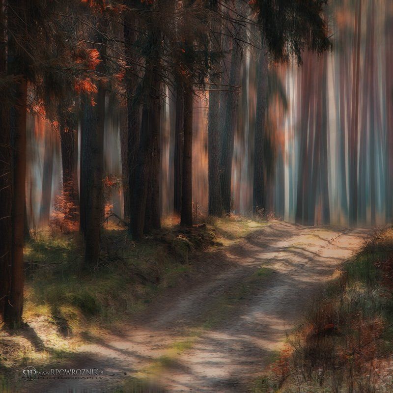Forest, Manipulation, Nature, Rpowroznik, Trees autumn colors...photo preview
