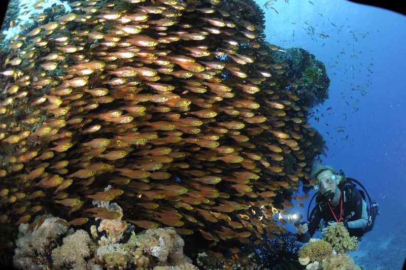 Движение жизнь.photo preview