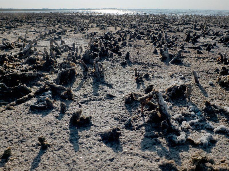 морская соль, солёное озеро, сасык-сиваш, крым, сольпром, бруно томский Pro солёные артефакты озера Сасык-Сивашphoto preview