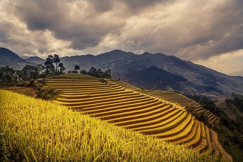 Terraced fields in Mu Cang Chaiphoto preview
