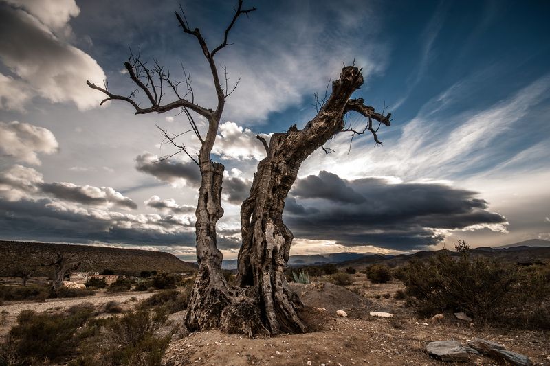Tabernas,Spainphoto preview