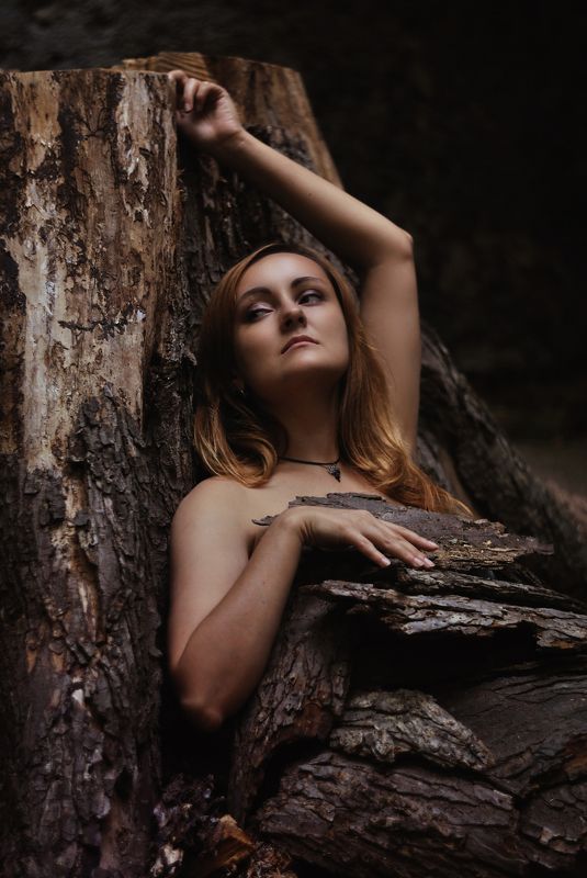 дриада, нимфа, лес, девушка, портрет Дриадаphoto preview