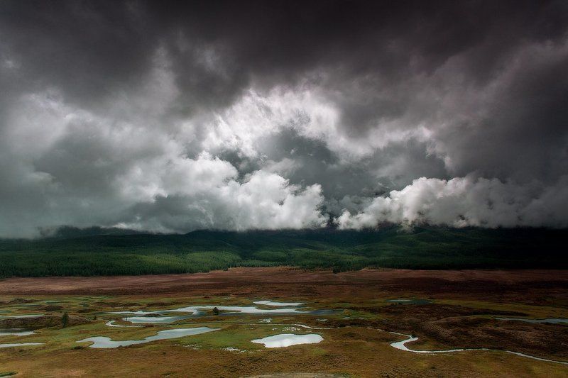 altai, altay, forest, mountains, nature, rocks, russia, siberia, summer, taiga, travel, алтай, горы, лес, природа, россия, сибирь, тайга, туризм Сердце в облакахphoto preview