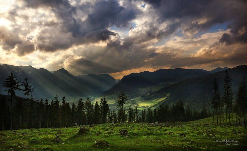 Баварияphoto preview