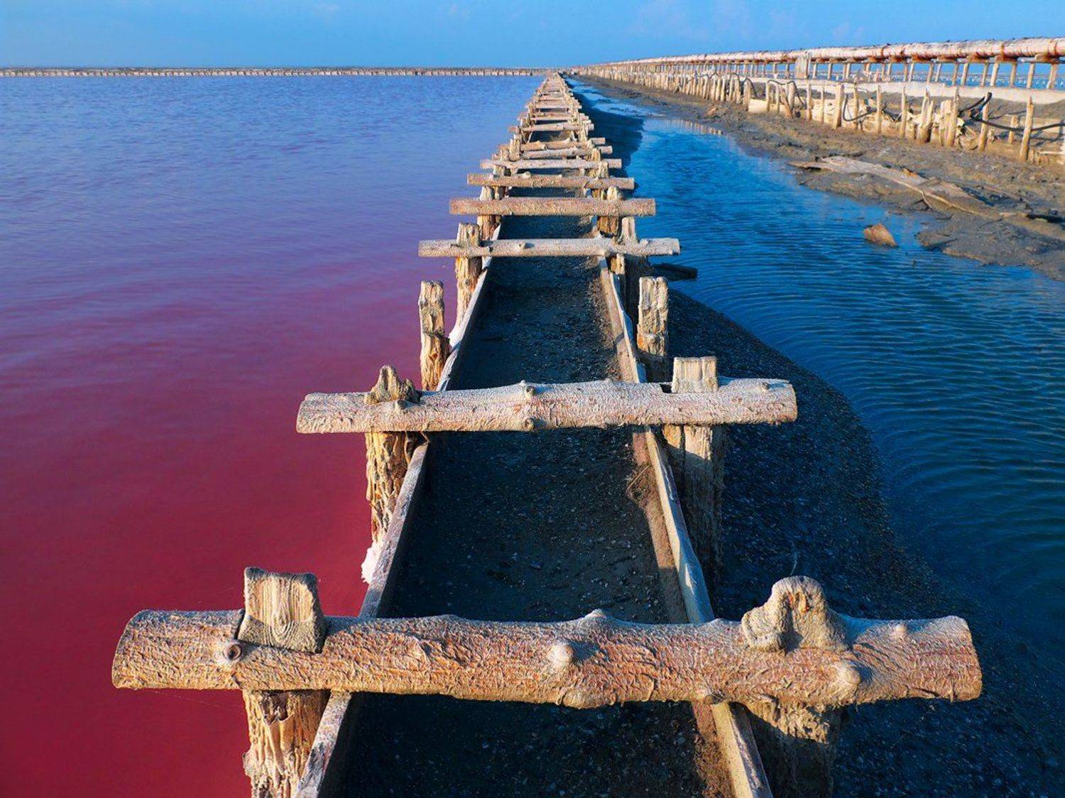 Бруно Томский, Добыча морской соли, Крым, Морская соль, Сасык-Сиваш, Сольпром, Валерий Пешков