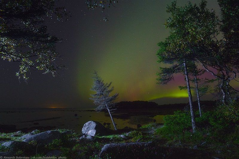 соловки На берегу Белого моряphoto preview