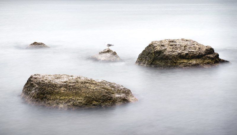 Bird, Landscape, Light, Nikon, Sea, Silence, Sky, Stones, Water Stonesphoto preview