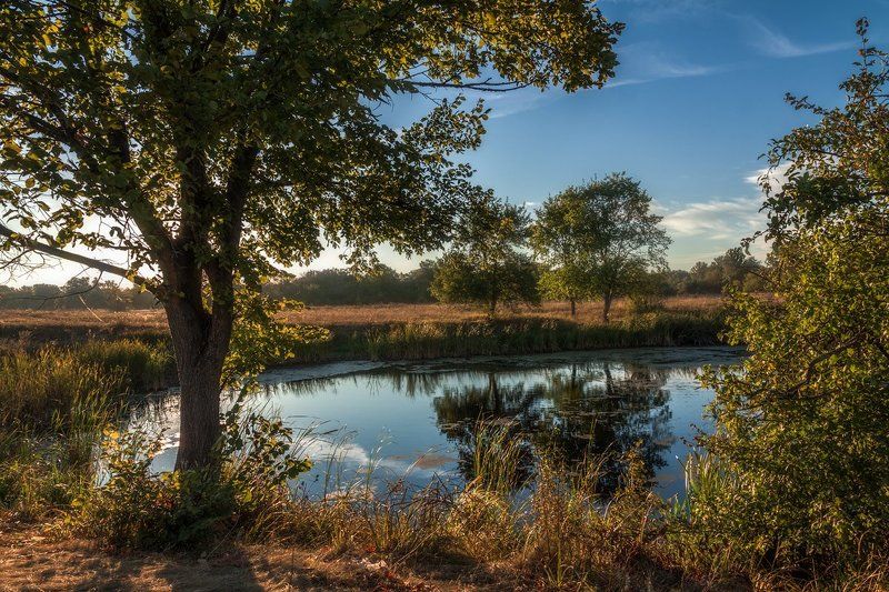 Осеннее утроphoto preview