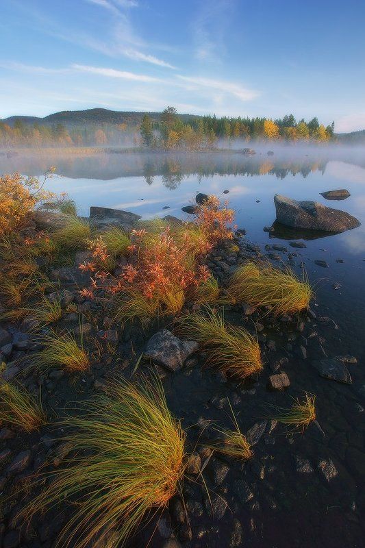 мурманская, лапландия, заполярье, кольский,осень,туман Заполярная осеньphoto preview
