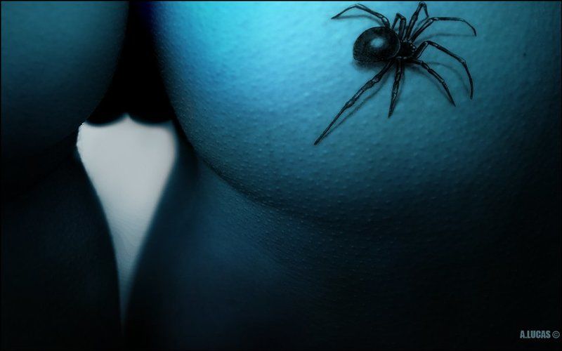 lucas, lucastudio, nude Black Widow Spider © фото превью