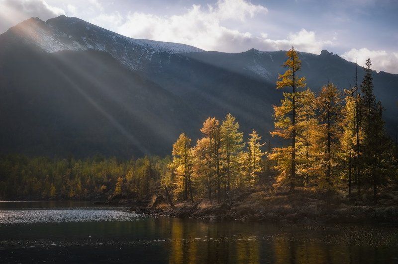 В лучах сентябрьского солнца…photo preview