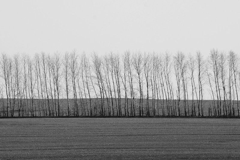 Параллелиphoto preview