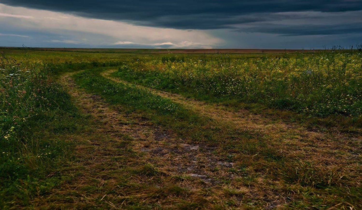 Лето, Степь, Тучи, Андрей Журавлев