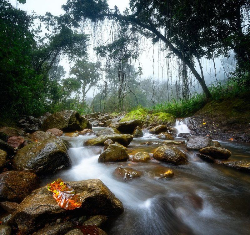 ***Guatemalaphoto preview