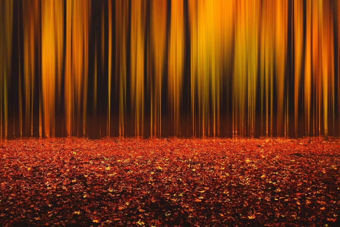 , Лысенко Сергей