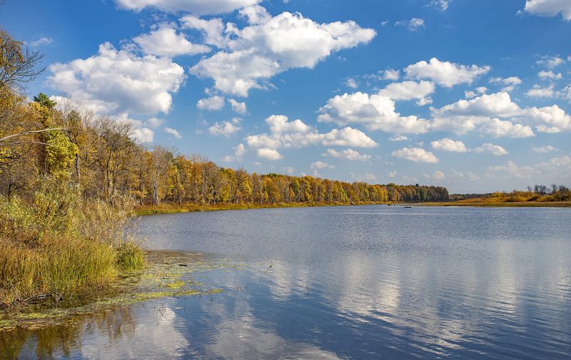 старица, осень, лес, вода, облака Вступила Осень в терем золотойphoto preview