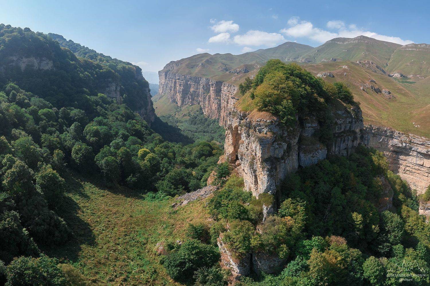 , Чехонин Александр