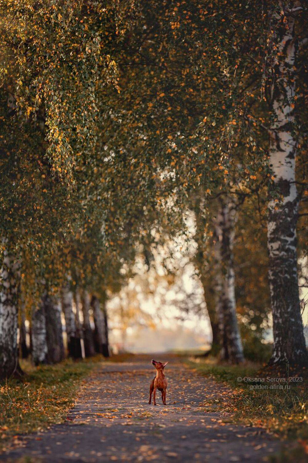 , Оксана Серова