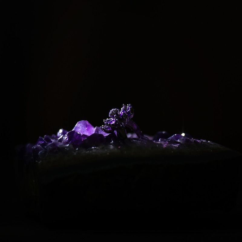 Каменный цветокphoto preview