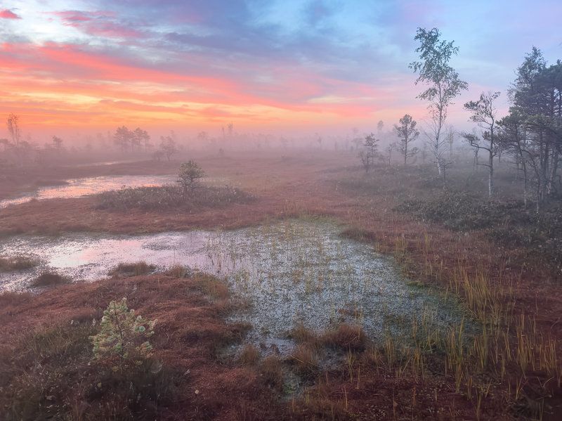 #kemeri, #болото, #утро, #туман, #рассвет Утро на болоте. Сентябрьphoto preview