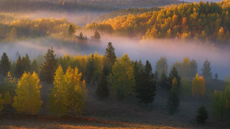 Молодая осеньphoto preview