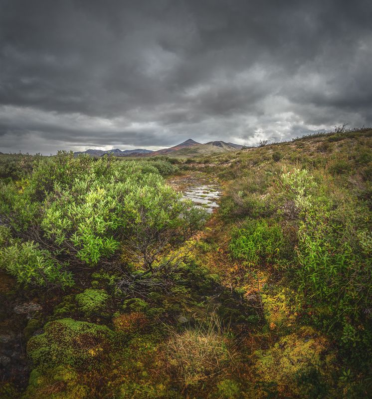 Чукотка 2023photo preview