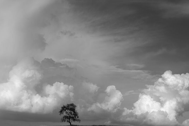 *******photo preview