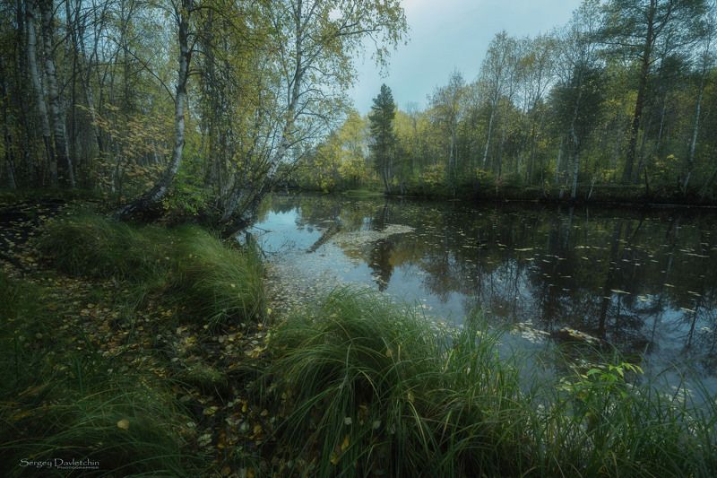 Осеньphoto preview