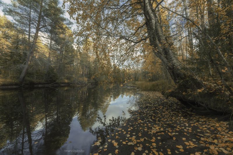 Осеньphoto preview