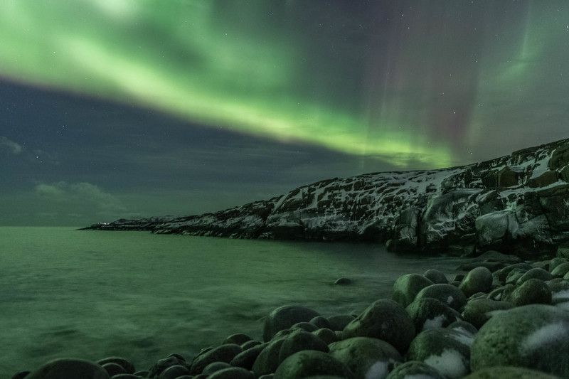 Весь накрытый зеленьюphoto preview