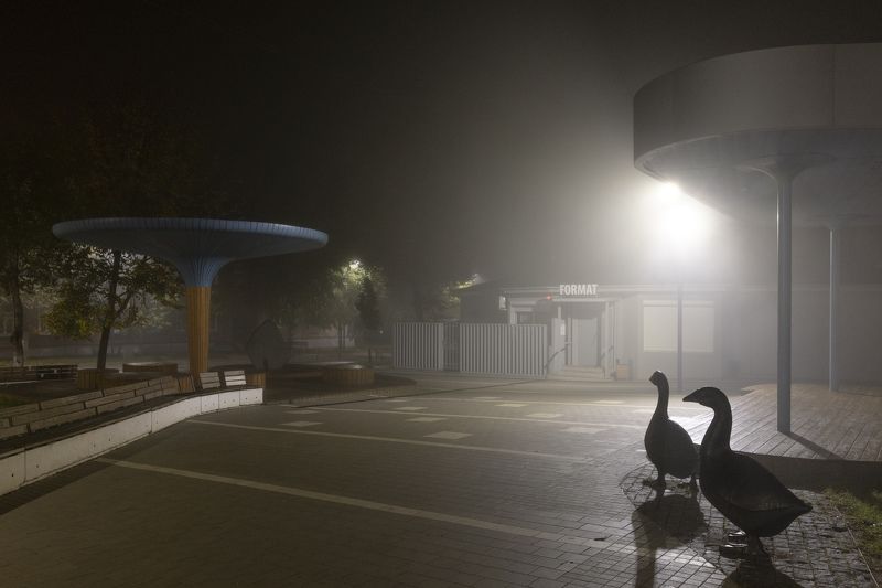 Гуси, ночь, туман, Арзамас Ночной дозорphoto preview