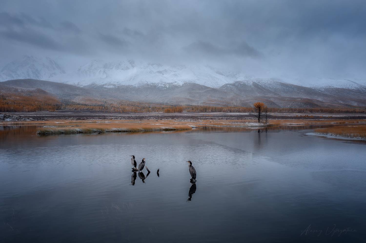 Джангысколь. Автор: Алексей Вымятнин altay, autumn, october, cold, trees, mirror, landscape, Алексей Вымятнин