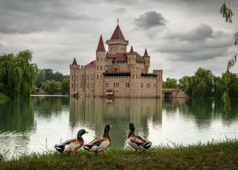 архитектура, замок, кавказ, шато эркен, шато-эркен, кабардино-балкария Стражиphoto preview