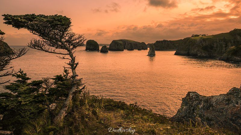 Шикотан фото превью