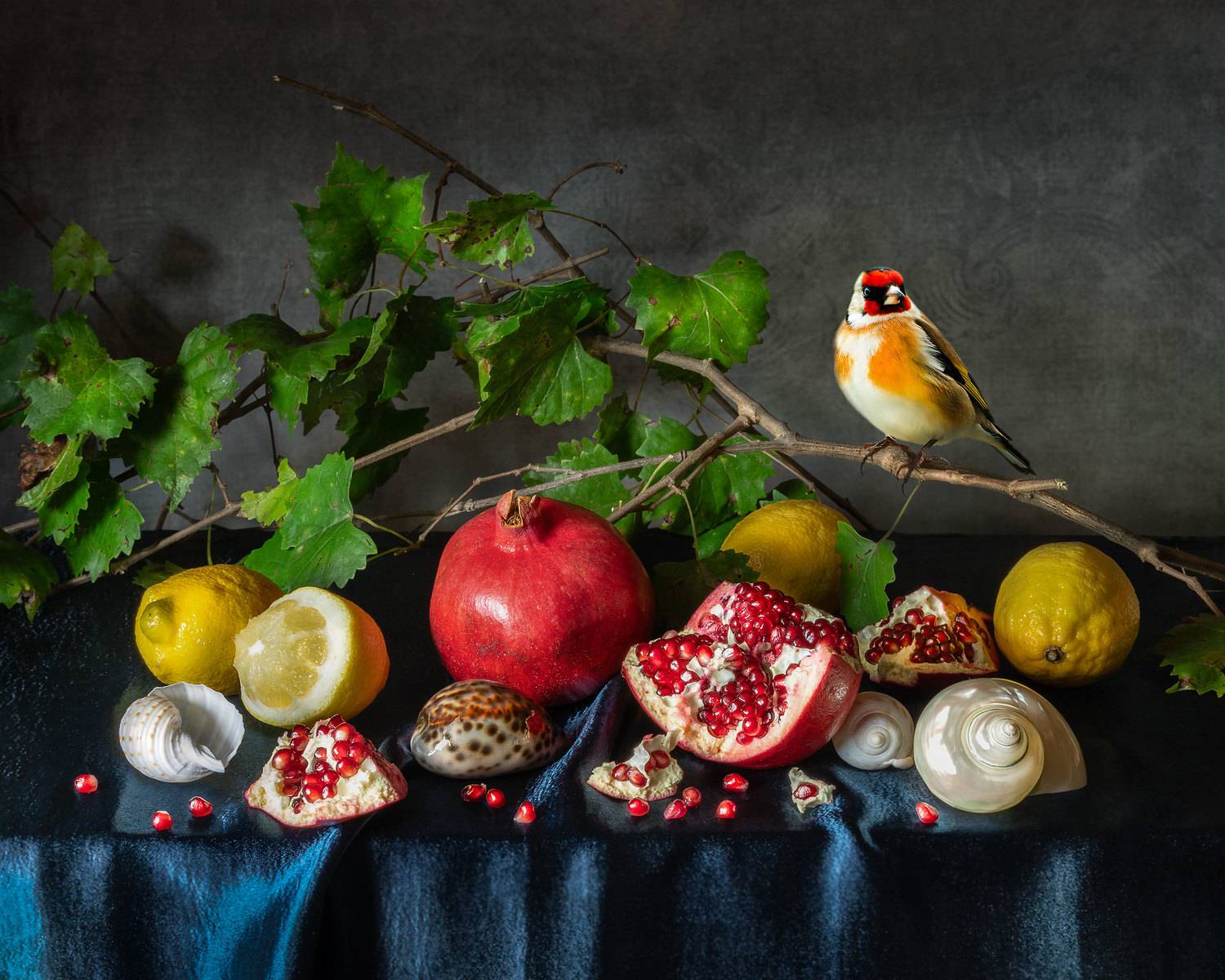 pomegranates, seashells, lemons, still life, goldfinch, гранаты, ракушки, лимоны,  натюрморт, щегол, Слуцкая Яна