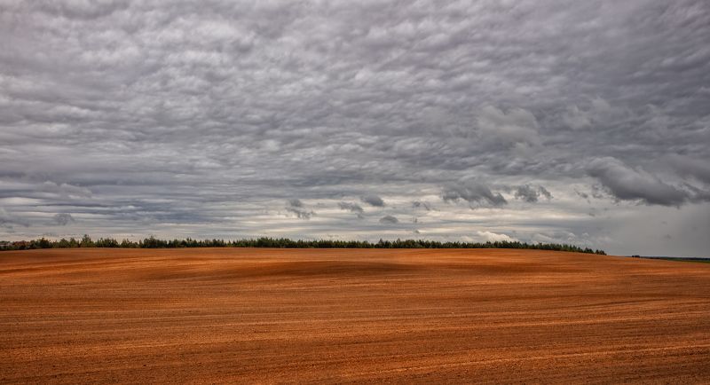 осень, поле, небо, Про рыжее поле и небоphoto preview