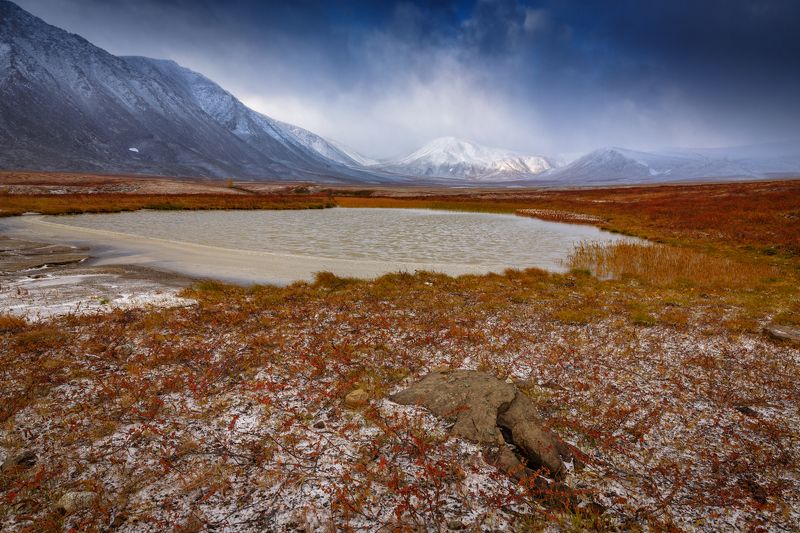 * * * фото превью