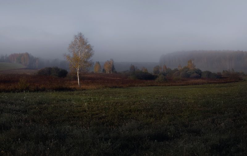 #пезаж #осень #туман #рассвет photo preview