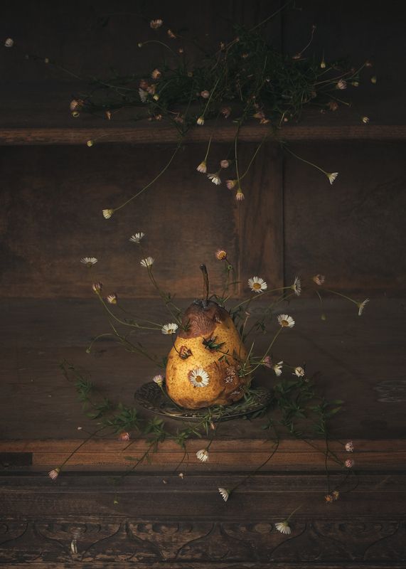 Segunda vidaphoto preview