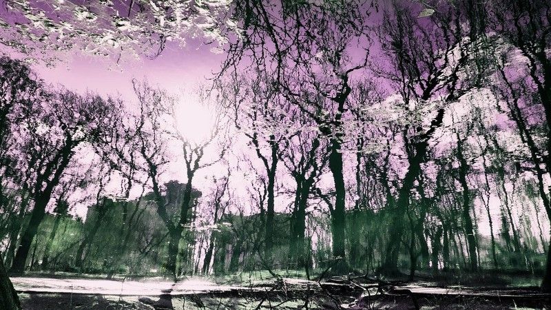 abstract, abstraction, spring Springphoto preview