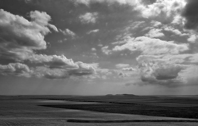 Untitledphoto preview