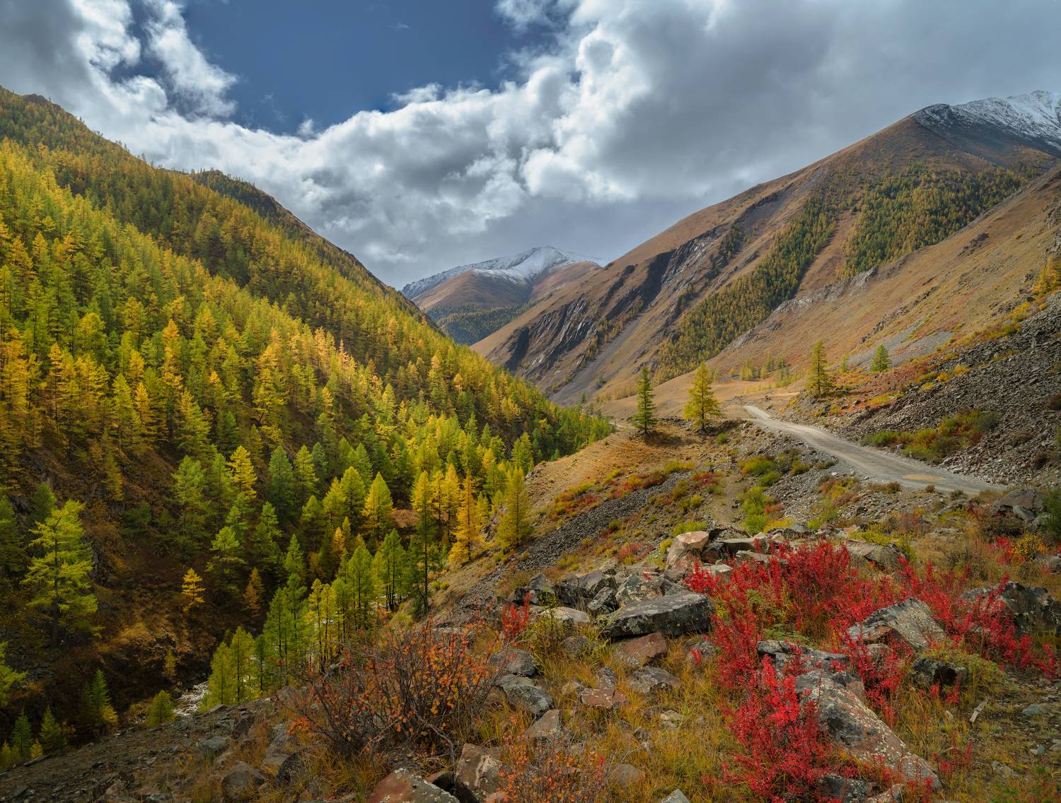 тыва, tuva, сентябрь, золотая осень, горы, Леонтьев Константин