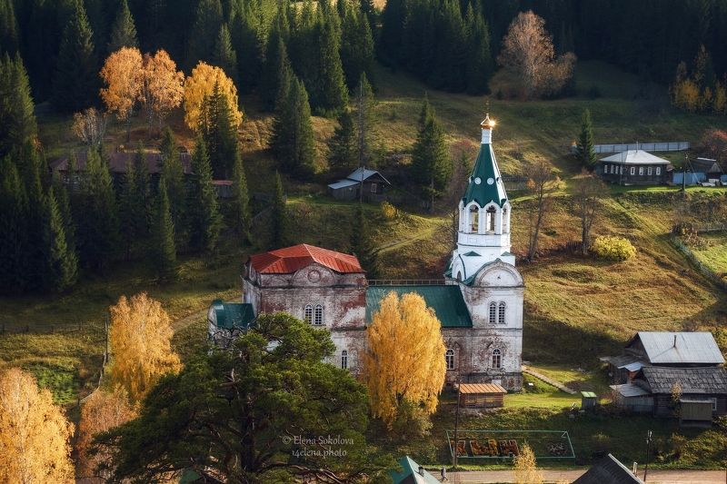 кын-завод, осень, пейзаж Золото осениphoto preview