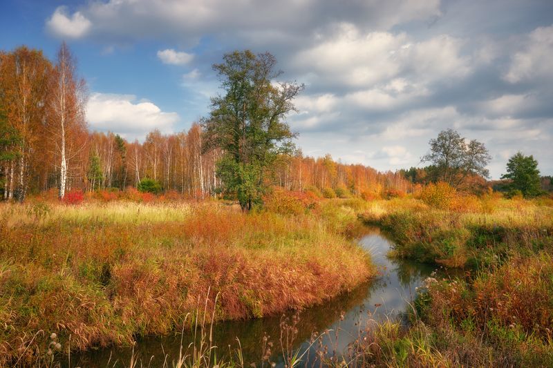 Сентябрьский полдень  ...photo preview
