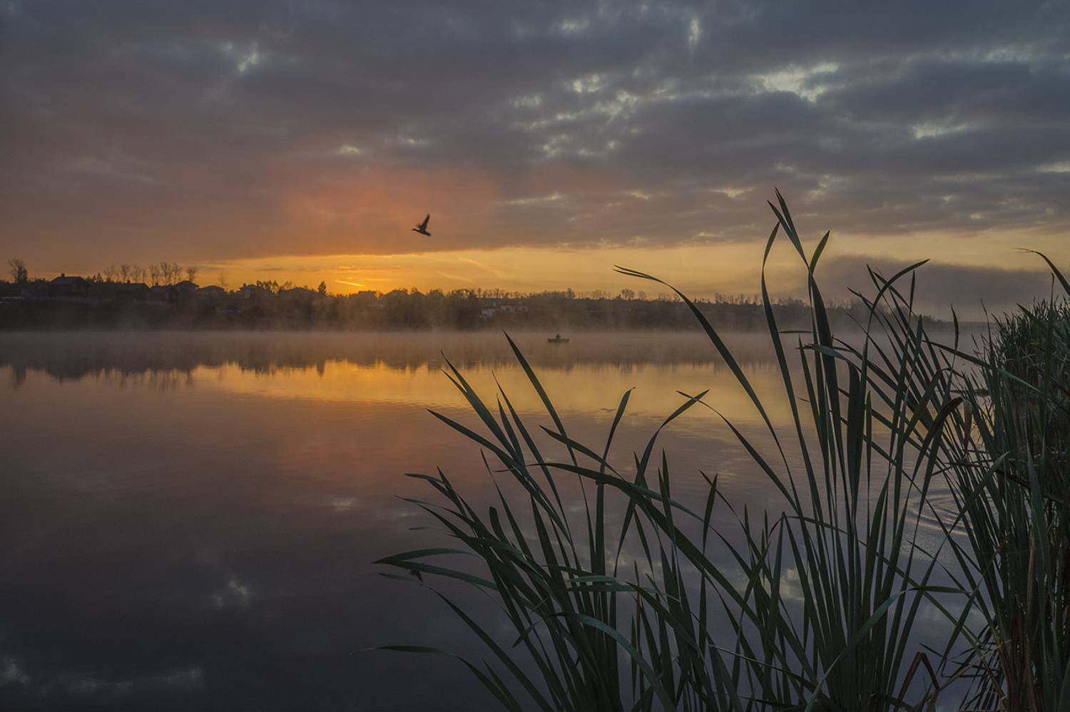 утро, рассвет, архангельское, Михаил Агеев